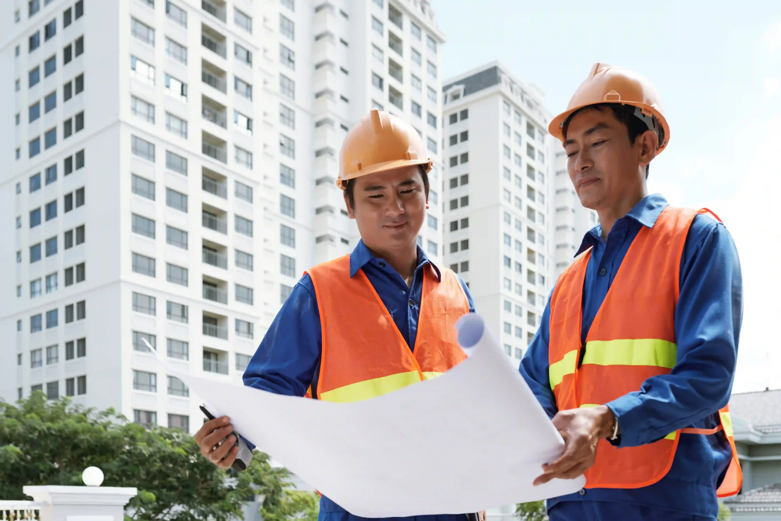 Professional Building Service Illawarra